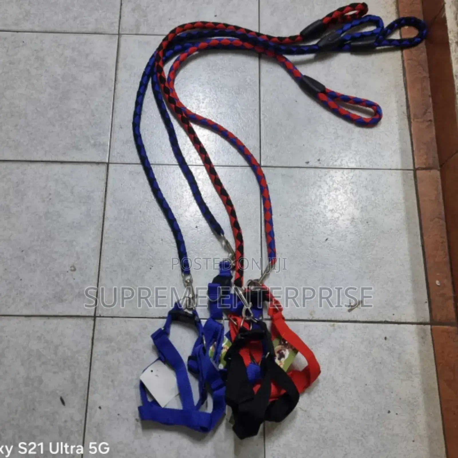 Dog Leash/ Big Dog Leash