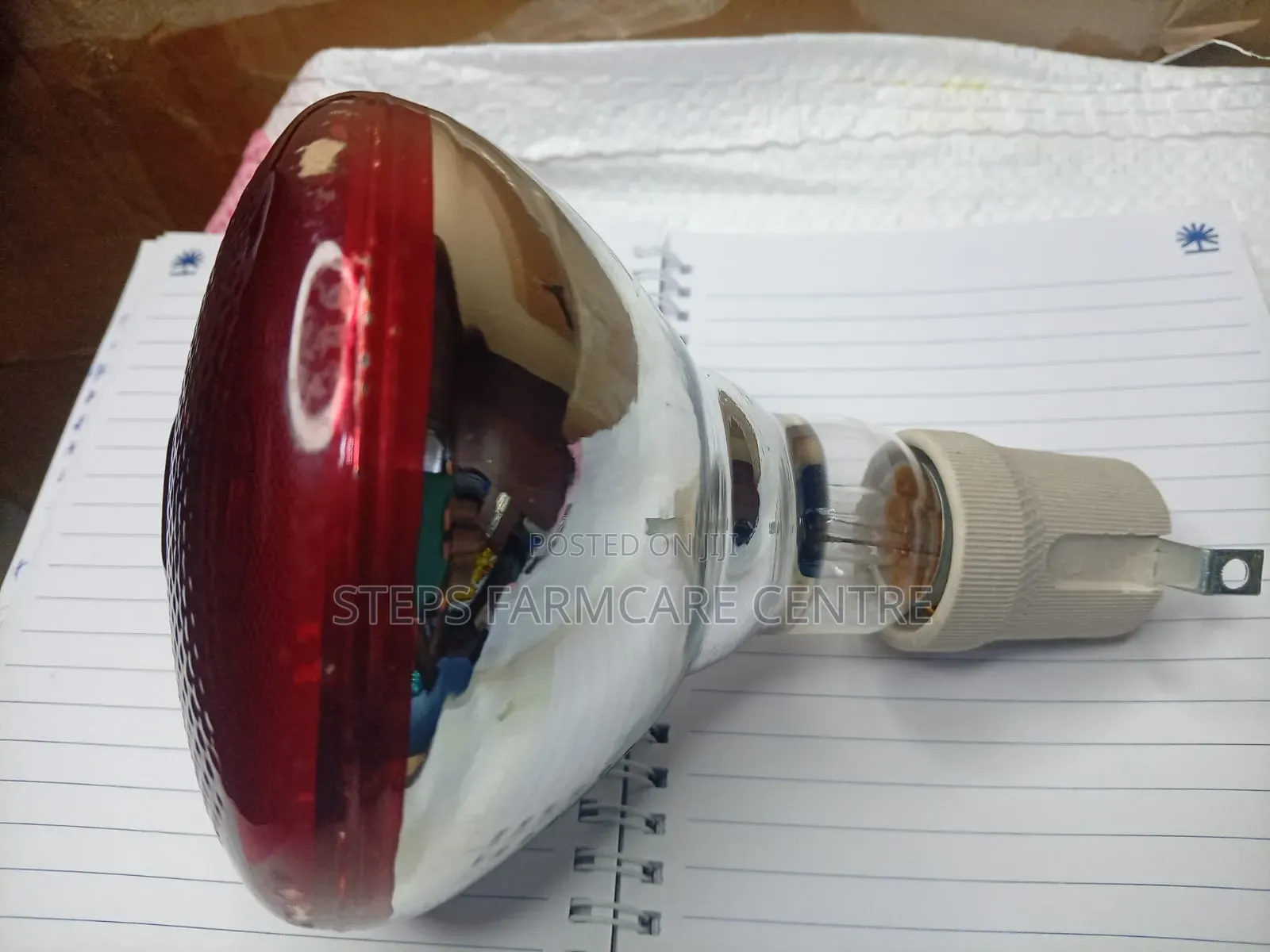 250 W Brooding Bulbs With Ceramic Holders