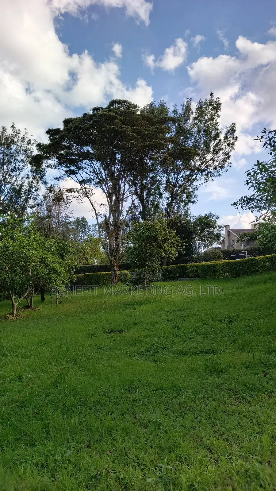 Quarter Acre Plot for Sale in Ngong Maasai Road