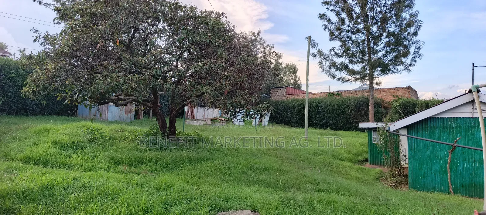 Quarter Acre Plot for Sale in Ngong Maasai Road