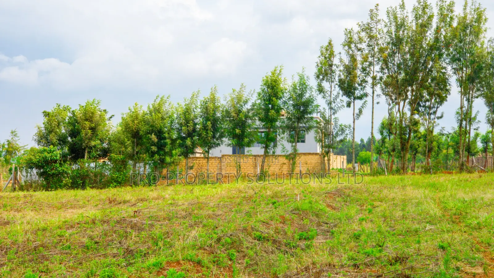 Prime Residential Plot for Sale in Kikuyu, Migumoini