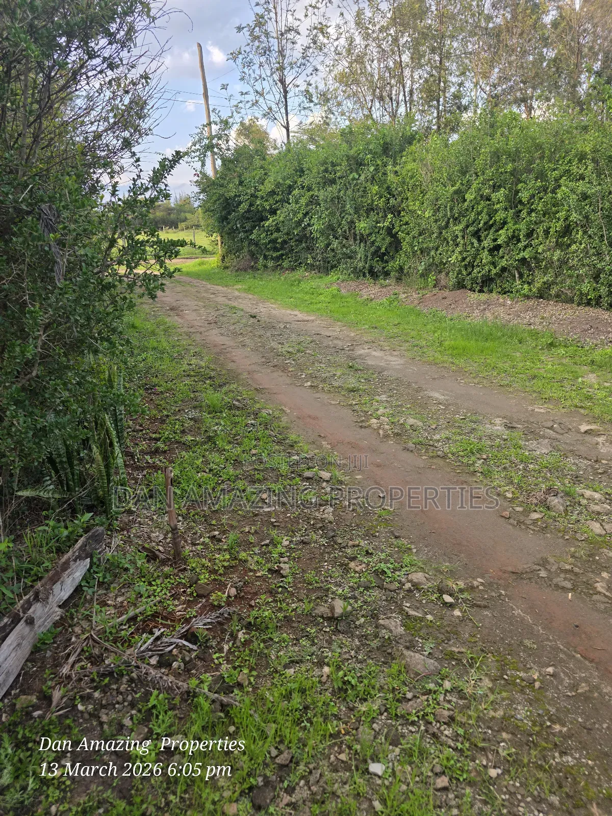 1/4 Acre for Sale Fully Fenced and Trees Planted Ideal for Residential