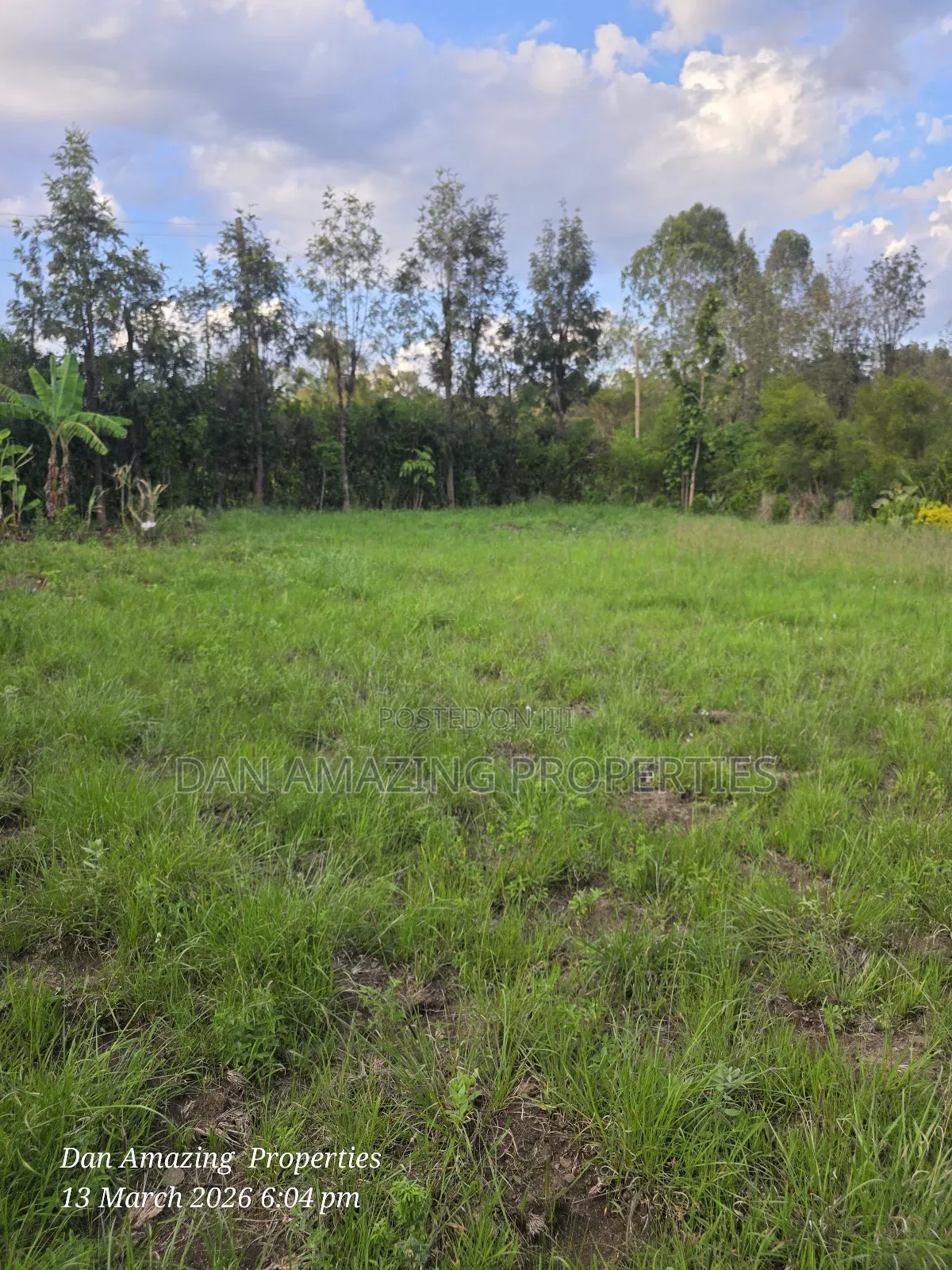 1/4 Acre for Sale Fully Fenced and Trees Planted Ideal for Residential