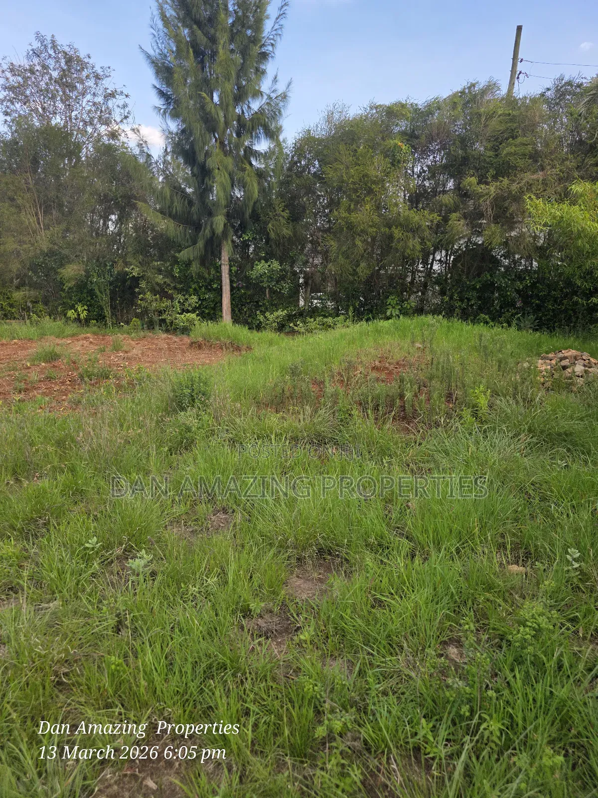 1/4 Acre for Sale Fully Fenced and Trees Planted Ideal for Residential