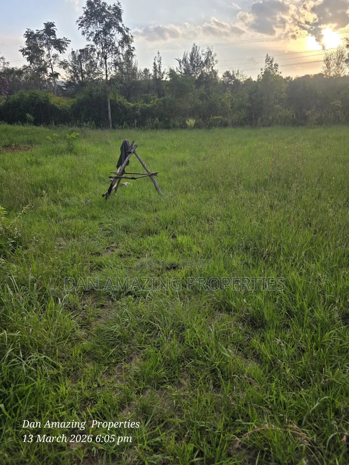 1/4 Acre for Sale Fully Fenced and Trees Planted Ideal for Residential