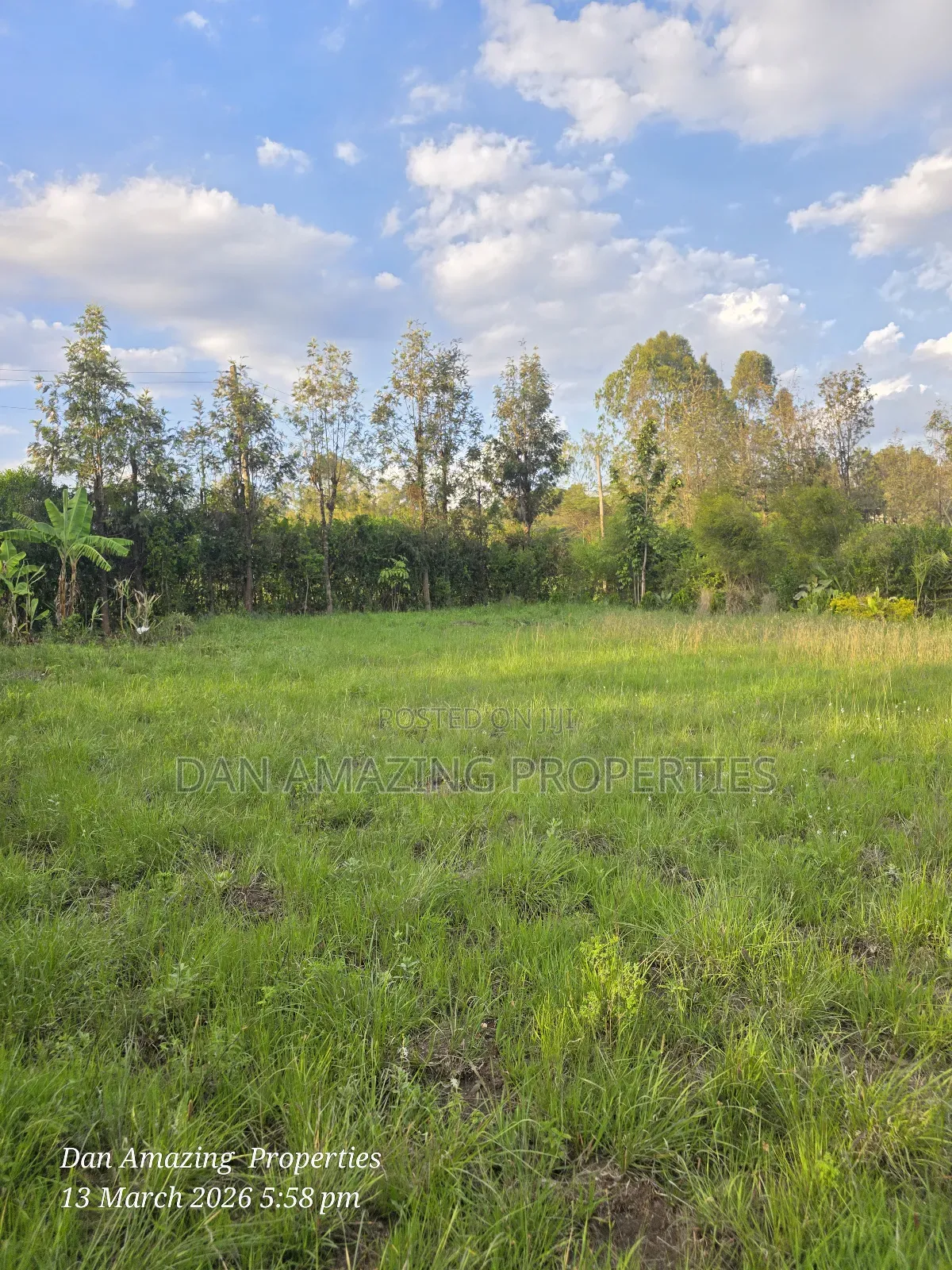 1/4 Acre for Sale Fully Fenced and Trees Planted Ideal for Residential