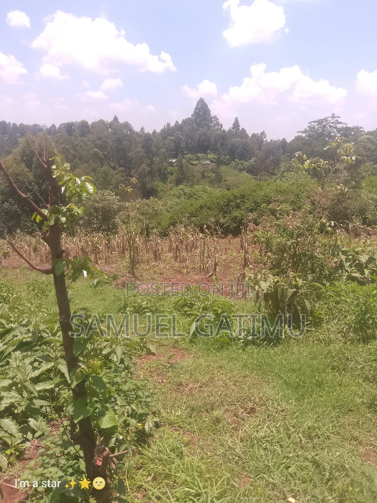 50/100 Njoro Ngewa Plot for Sale