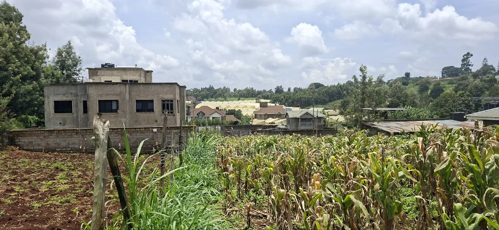 Kikuyu Ondiri 100x100 Plot Available for Sale