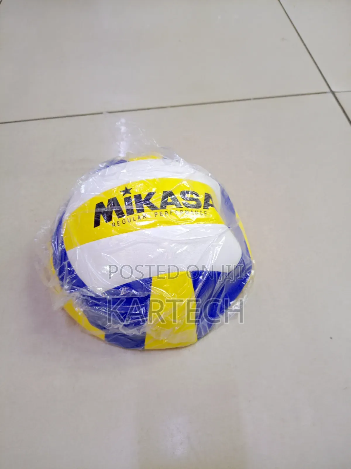 Mikasa Professional Volleyball