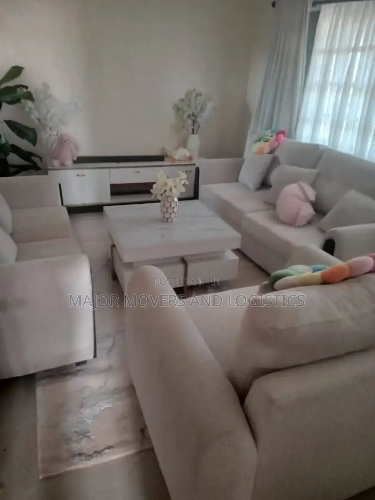 Movers and Professional Packers