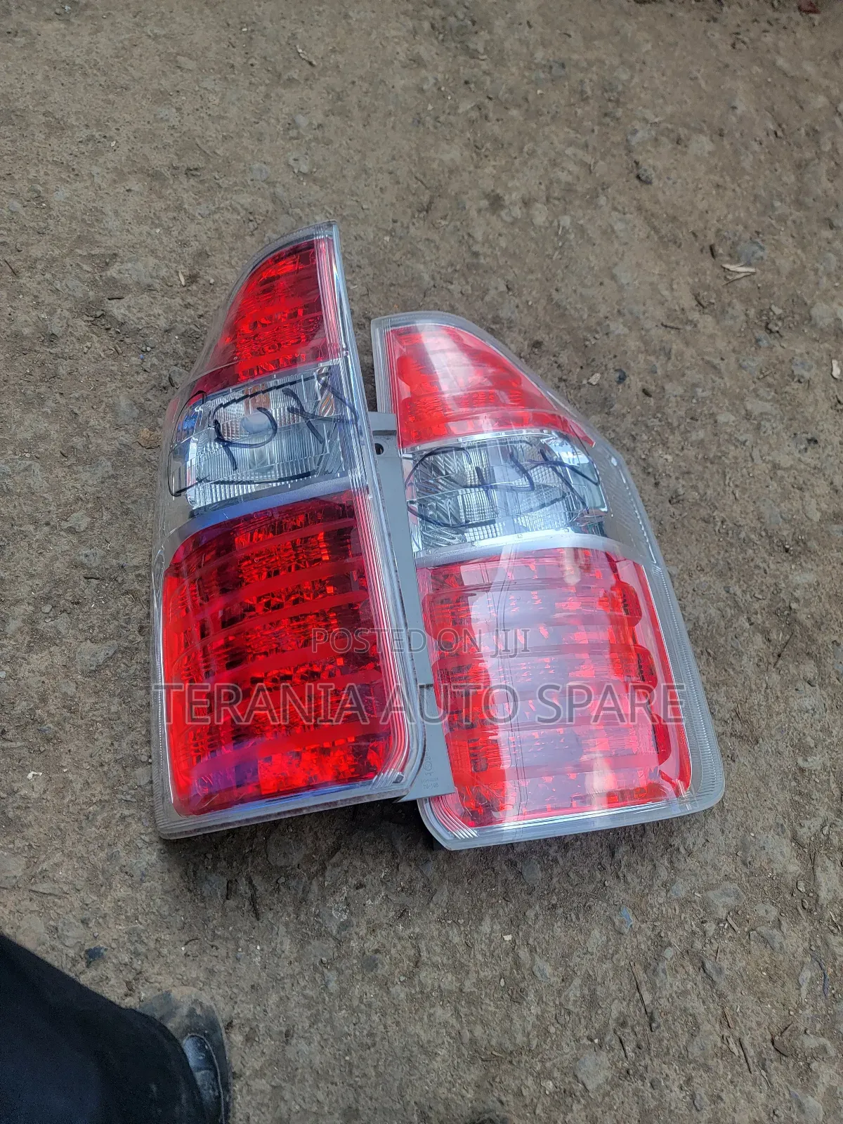 Noah 2012 Tailight