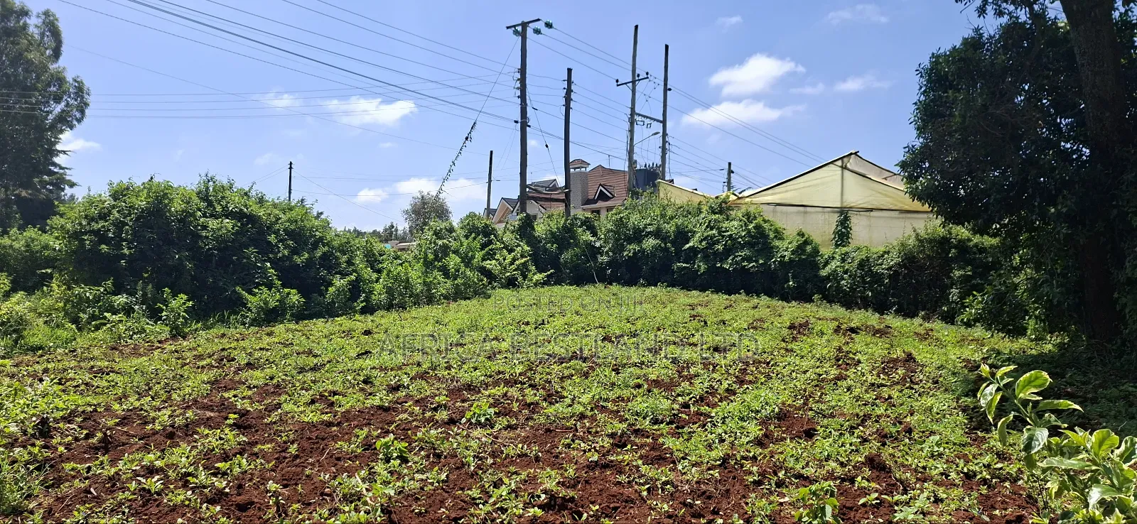 1/2 Acre Available Residential Land for Sale Kikuyu Ondiri