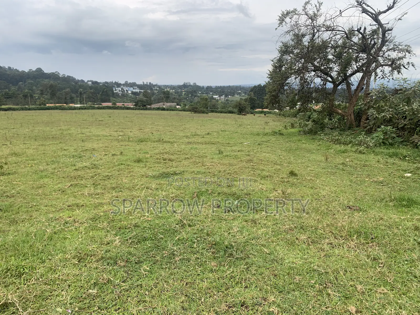 Kitale Town 3 Acre Plot for Sale