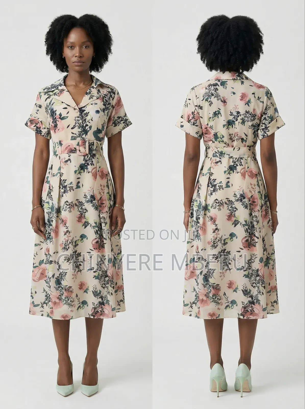 Heavy Chiffon Dress