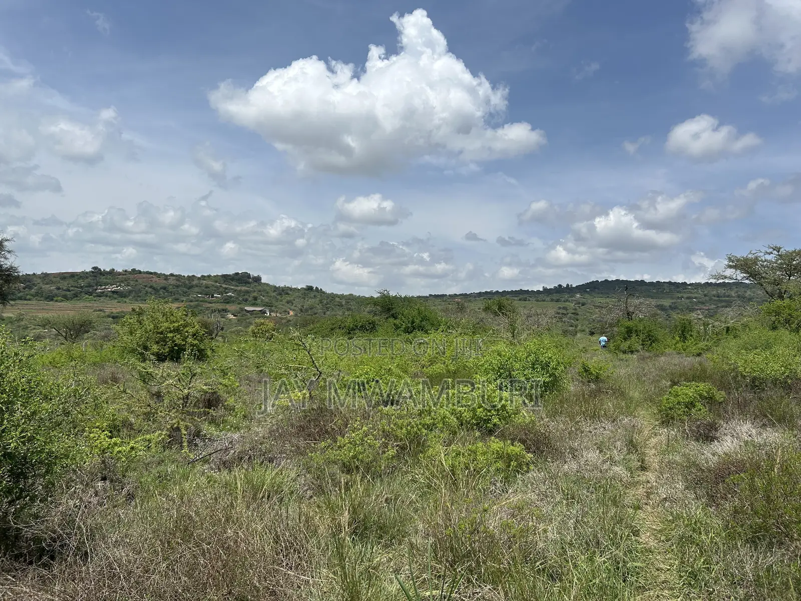 16 Acres Mua Hills Manzooni