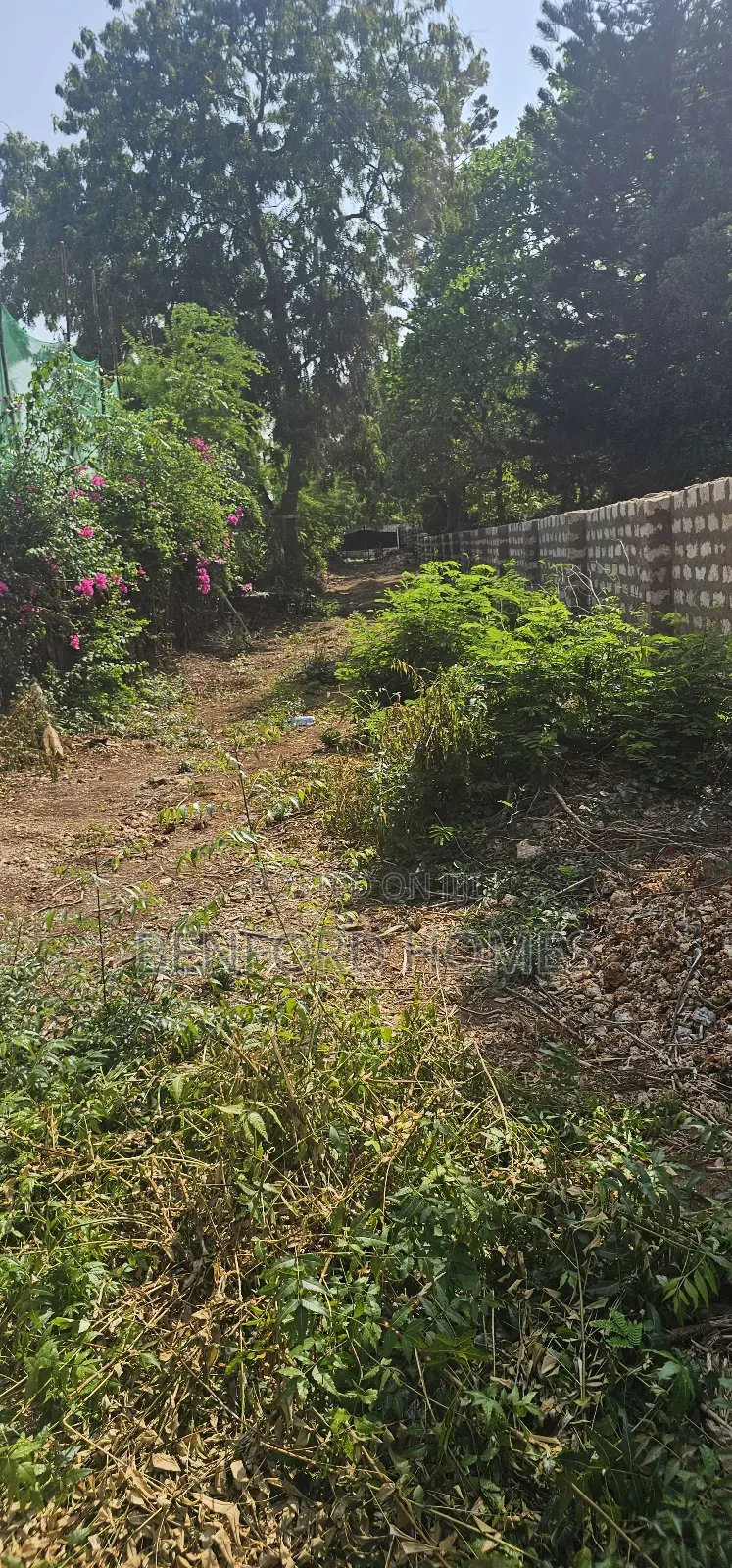 One Acre Piece of Land on Sale Old Nyali Mombasa by Benford Homes