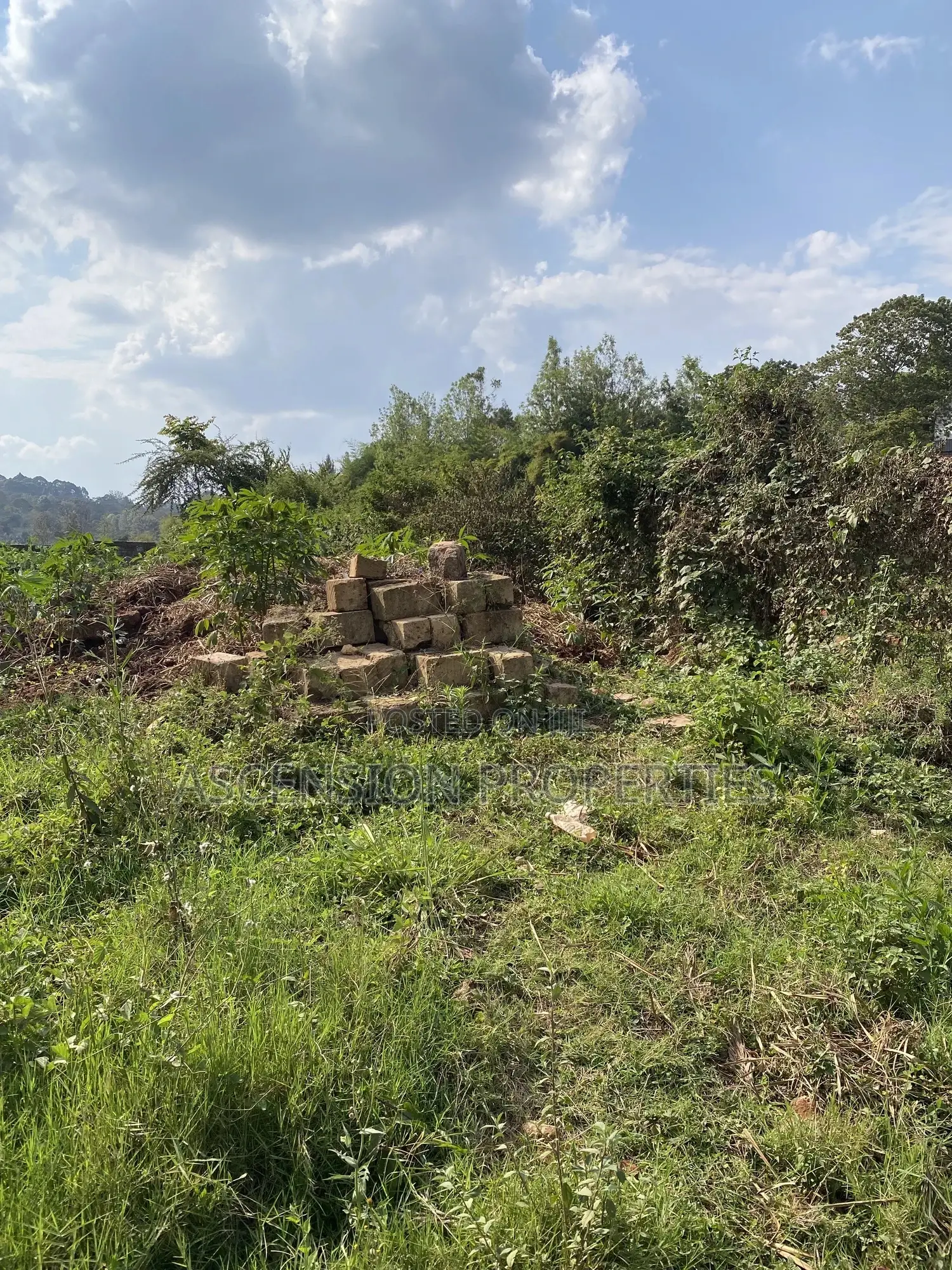 Prime 0.5-Acre Residential Plot for Sale – Loresho, Nairobi