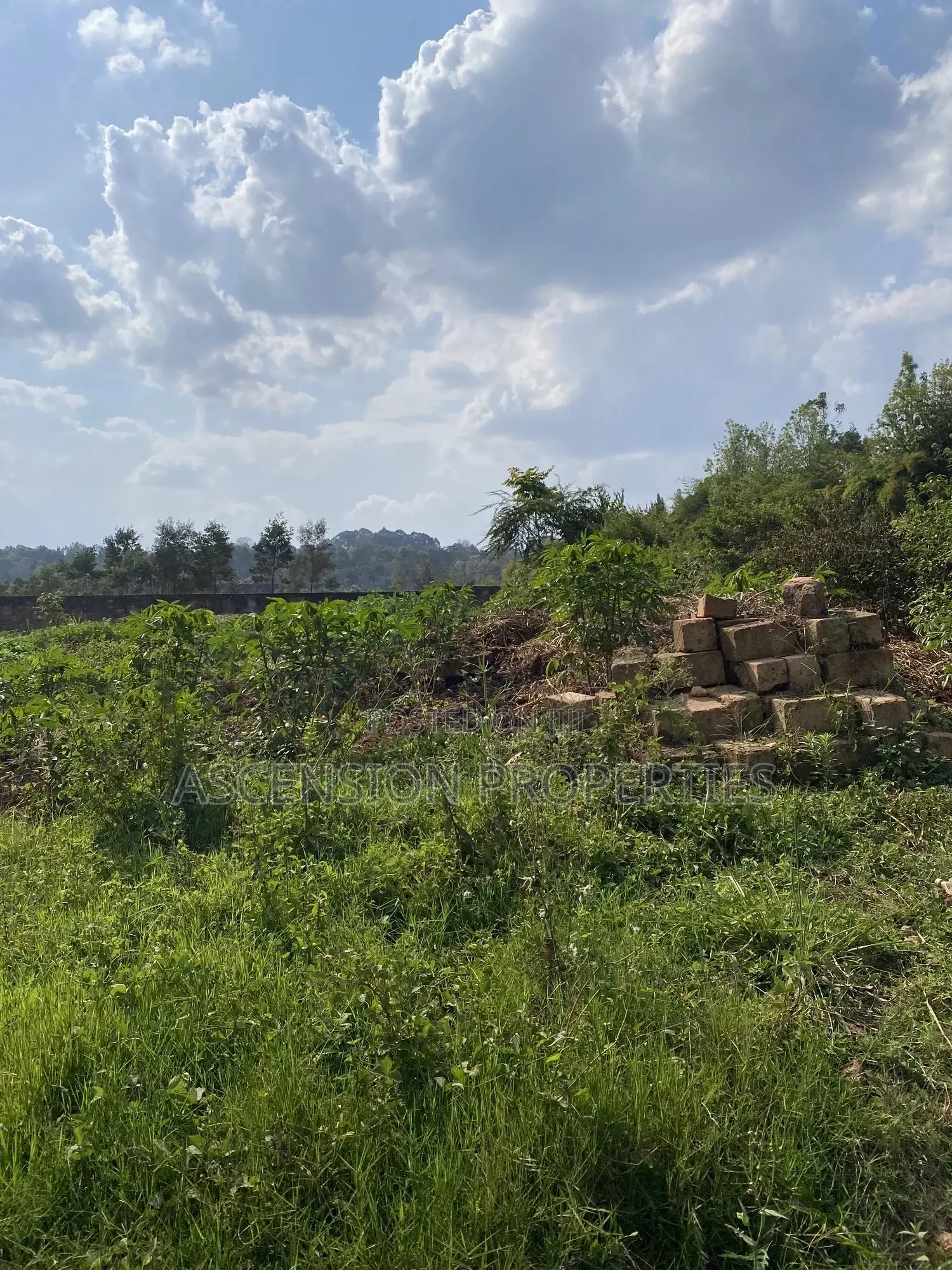 Prime 0.5-Acre Residential Plot for Sale – Loresho, Nairobi