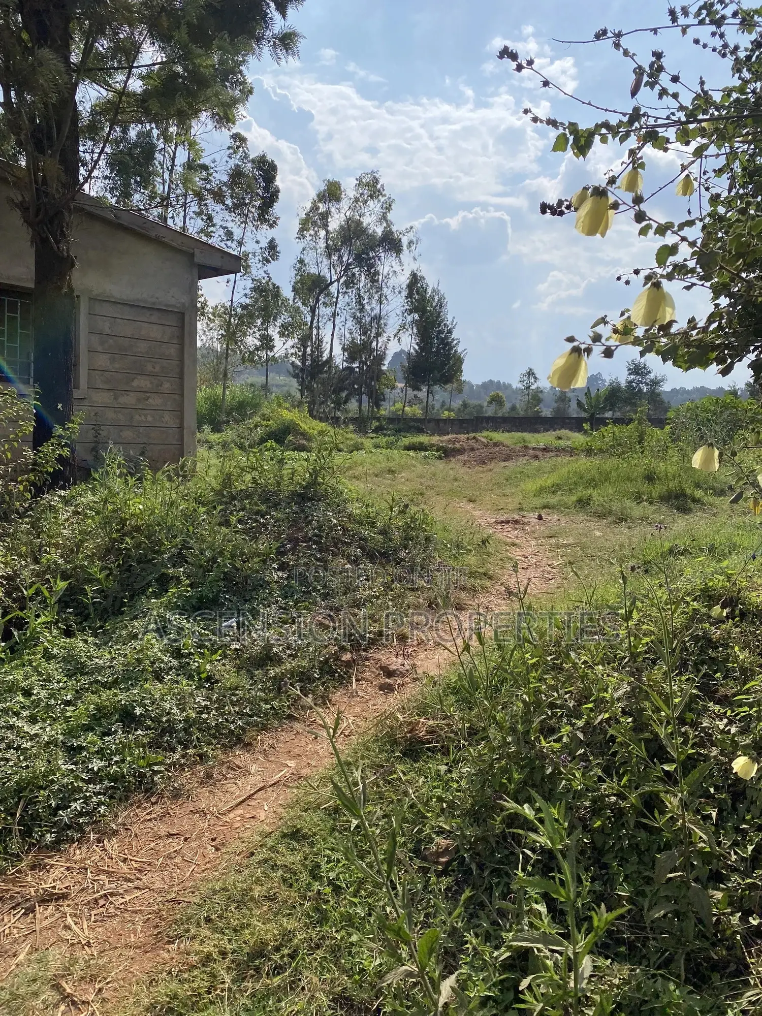 Prime 0.5-Acre Residential Plot for Sale – Loresho, Nairobi