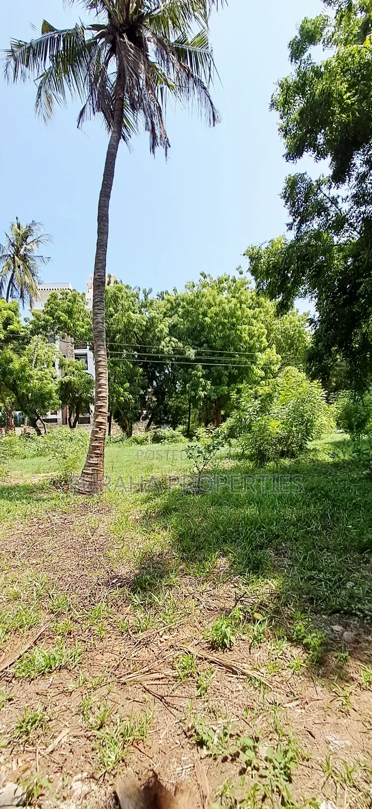 For Sale Quater of an Acres Plots Mtwapa