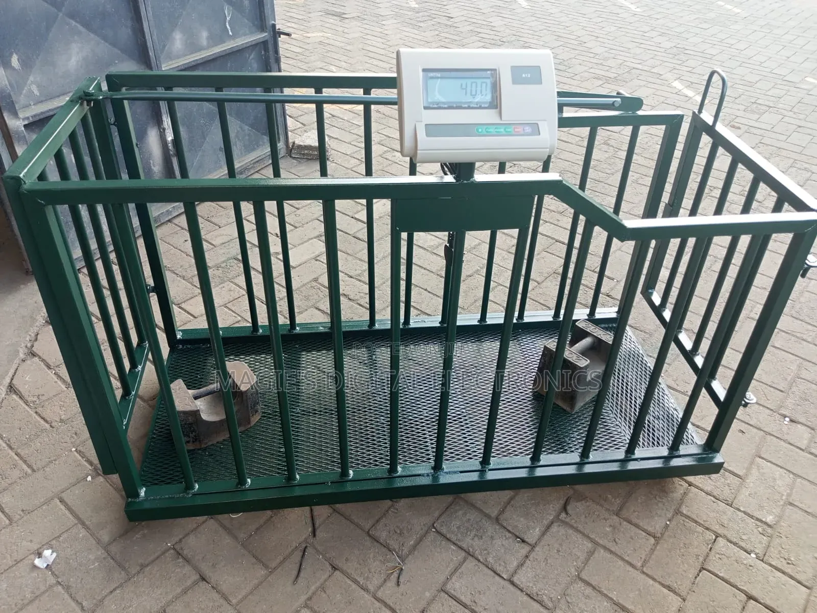 Animal Scale For Pigs