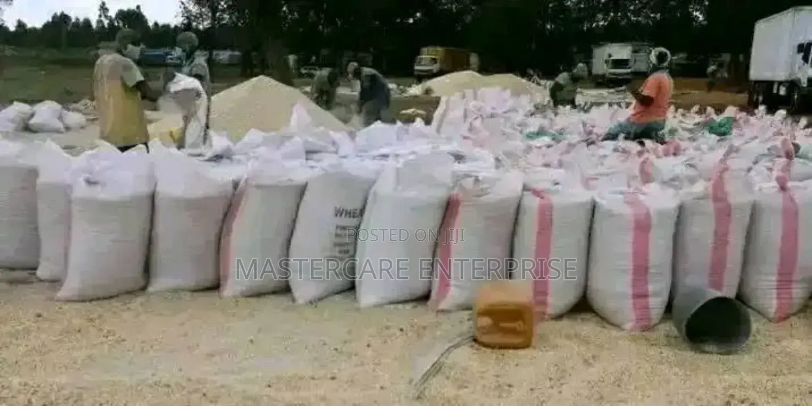 Dry Maize for Sale in Kenya