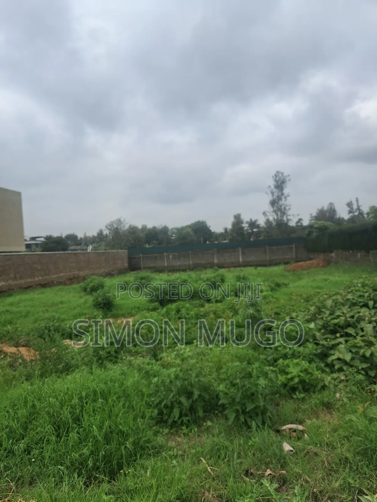 Runda Mumwe Fully Serviced Well Drained Red Soil Residential 1/2 Acre