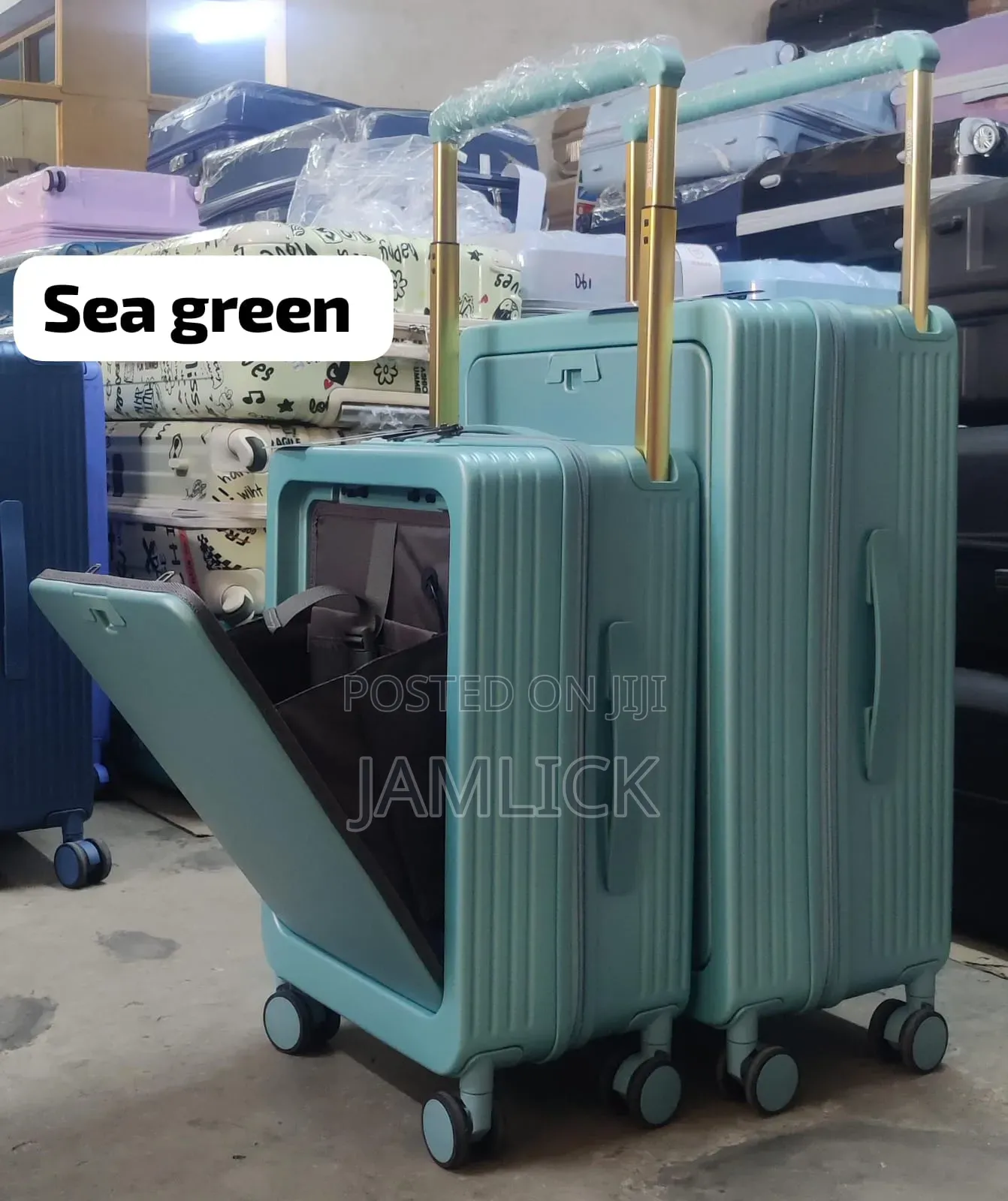 Elegant Sea Green 2pcs Suitcase Set