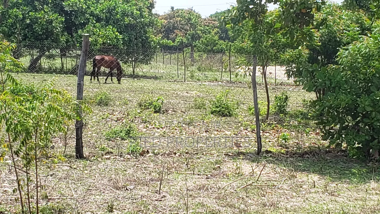 1 Acre in Malindi, Kilifi for Sale