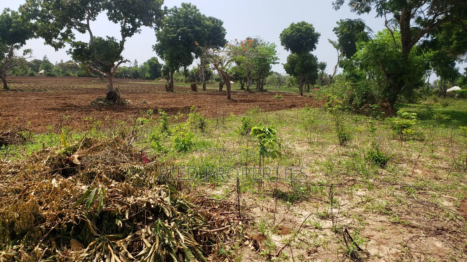 6 Acres in Malindi, Kilifi for Sale