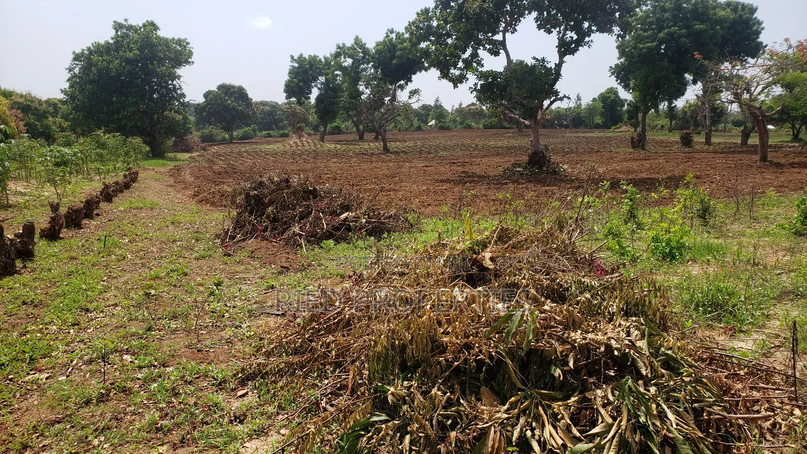 6 Acres in Malindi, Kilifi for Sale