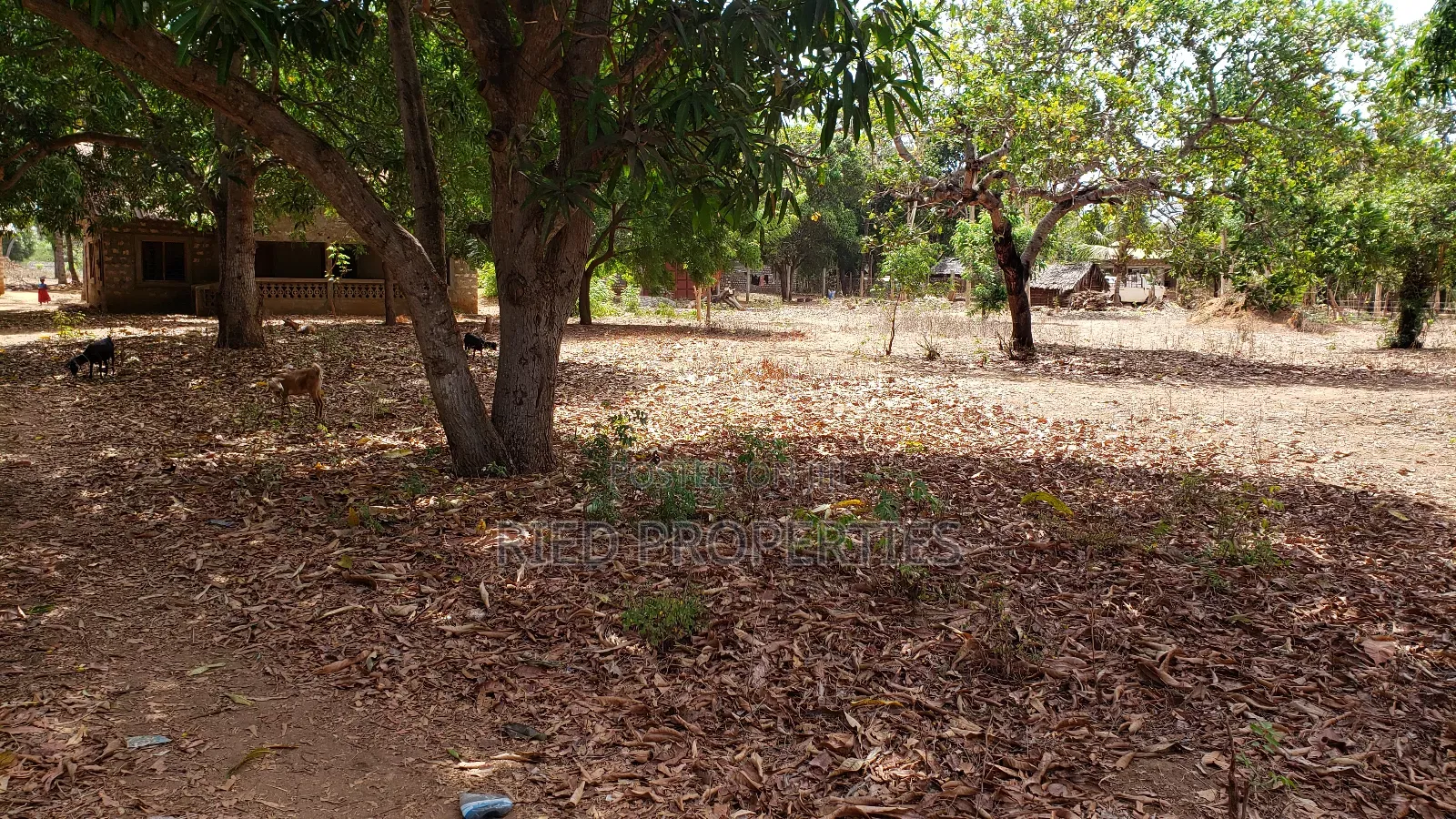 170by100, With an Unfinished House, in Malindi, Kilifi for Sale