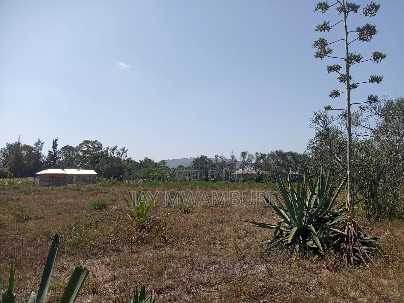 1 Acre Kenol Machakos