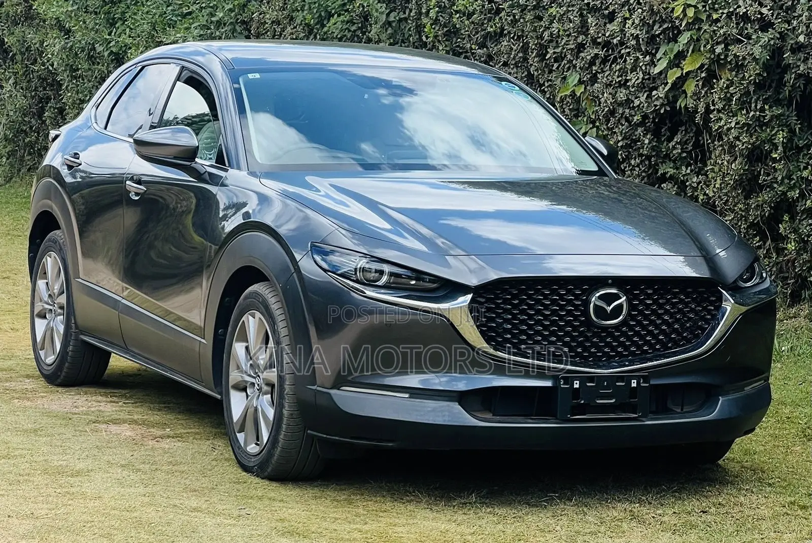 Mazda CX-30 2019 Gray