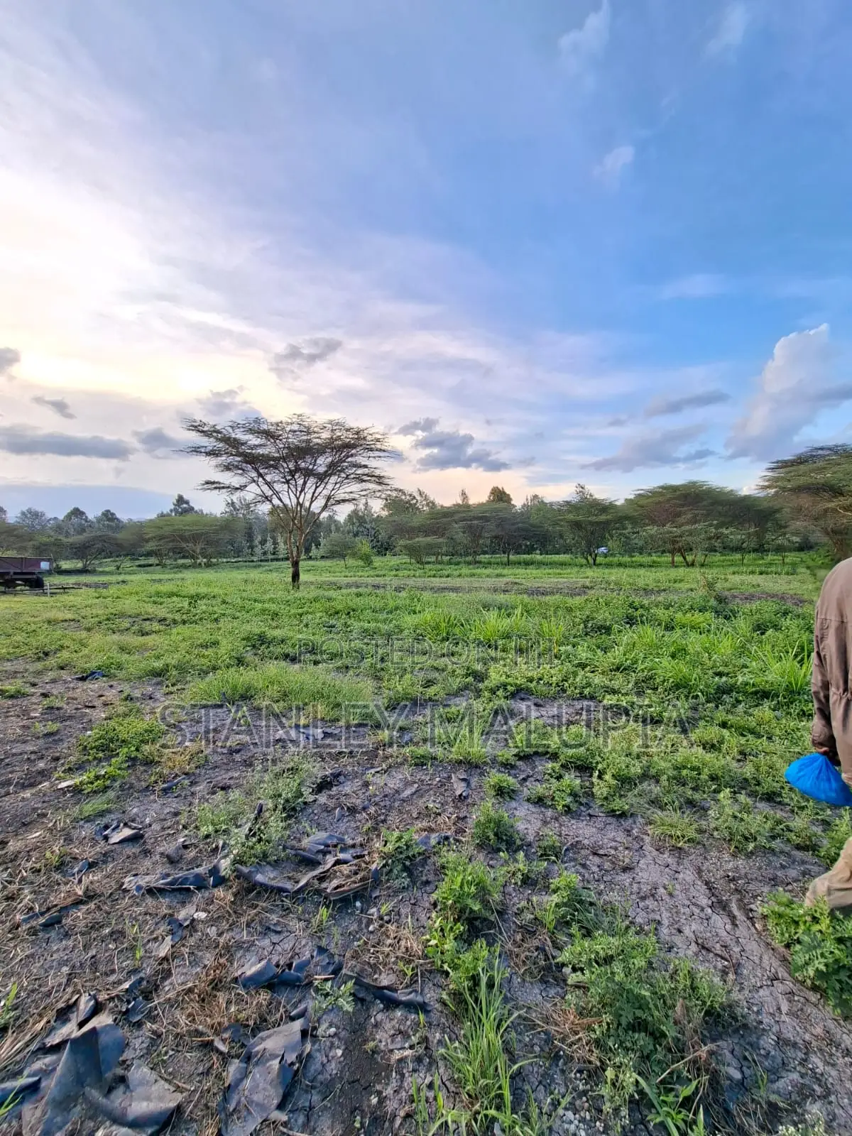 16 Acres for Sale – Kandisi, Ongata Rongai Per Acre 20m