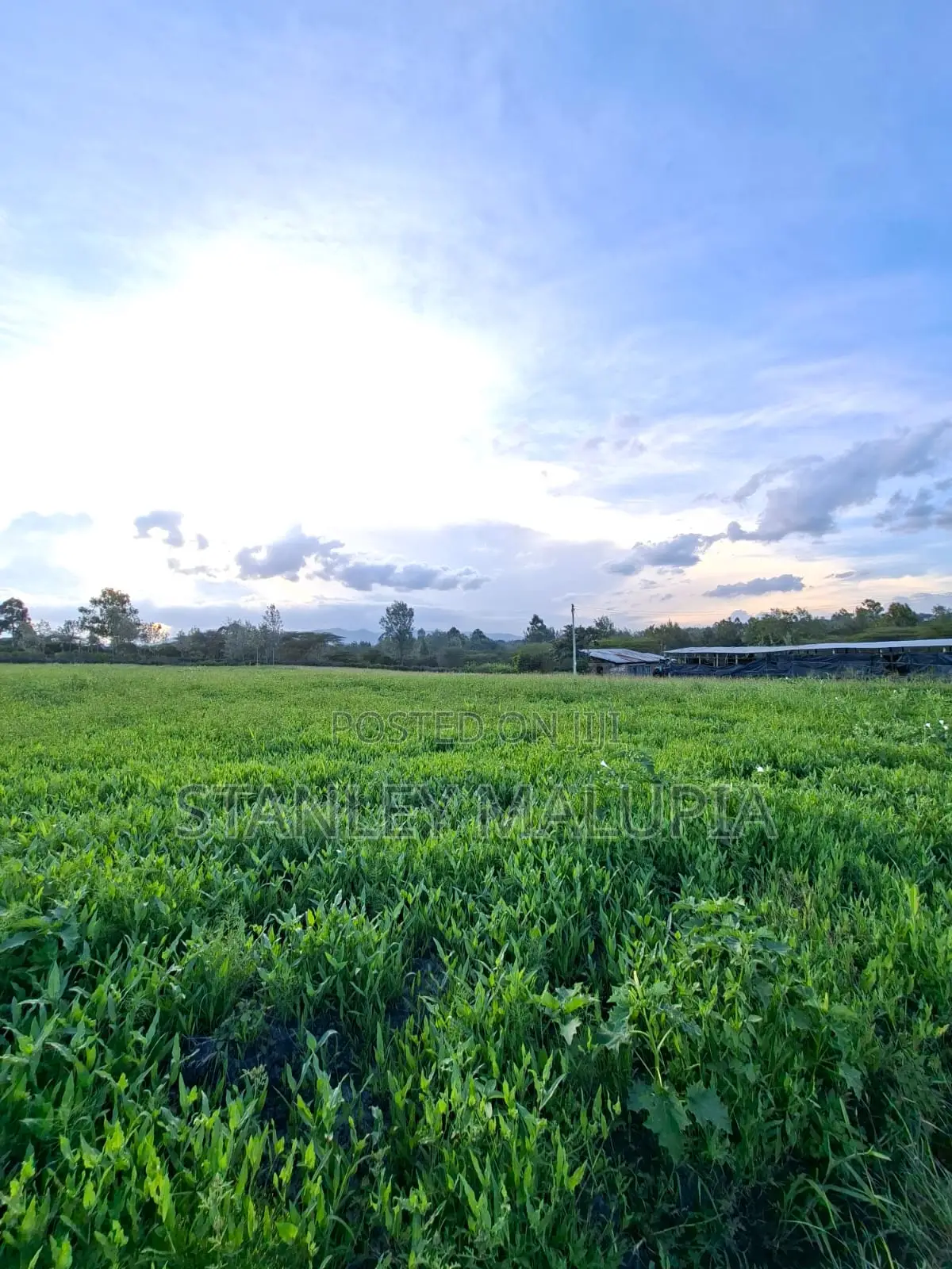 16 Acres for Sale – Kandisi, Ongata Rongai Per Acre 20m