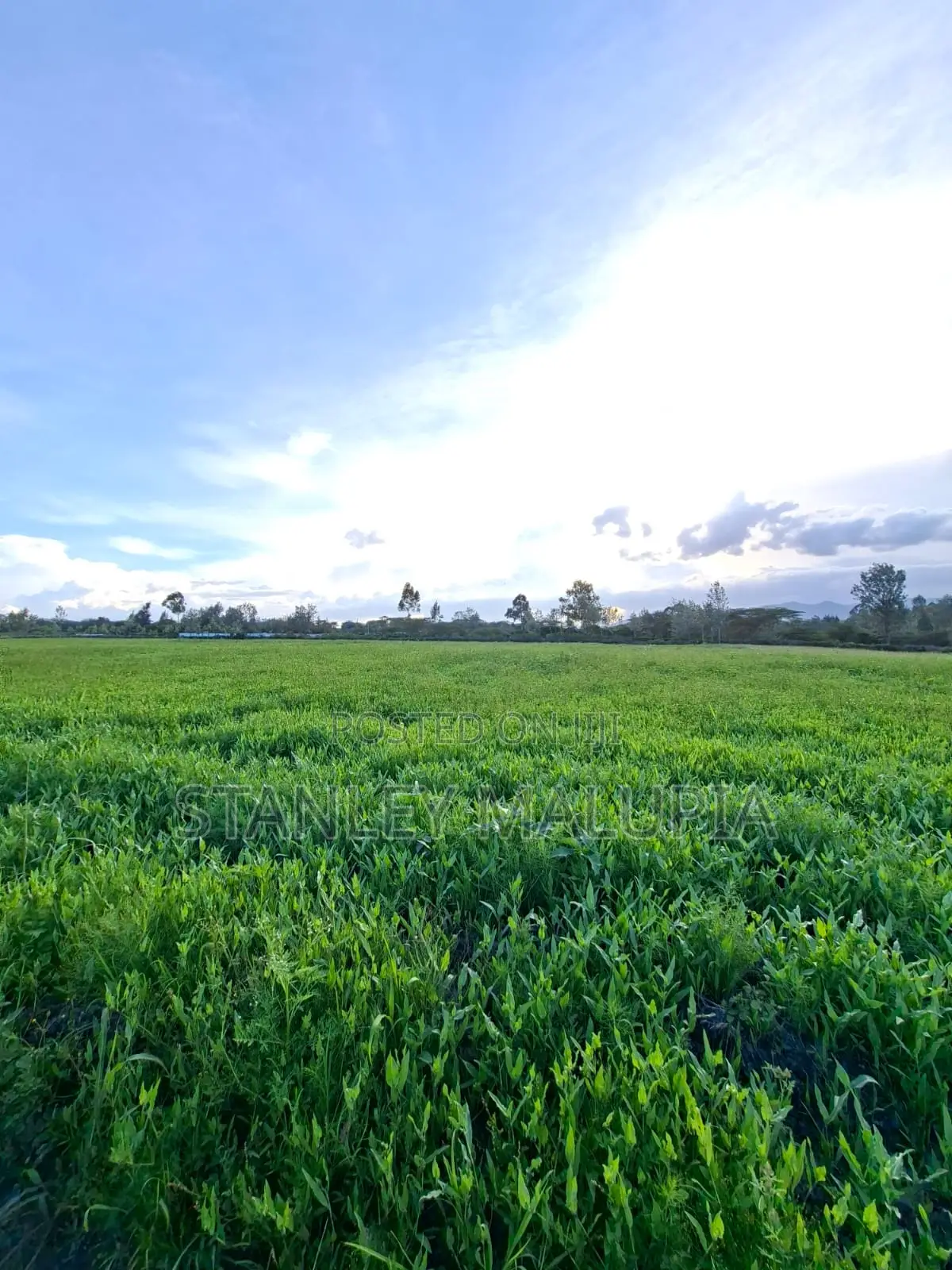 16 Acres for Sale – Kandisi, Ongata Rongai Per Acre 20m