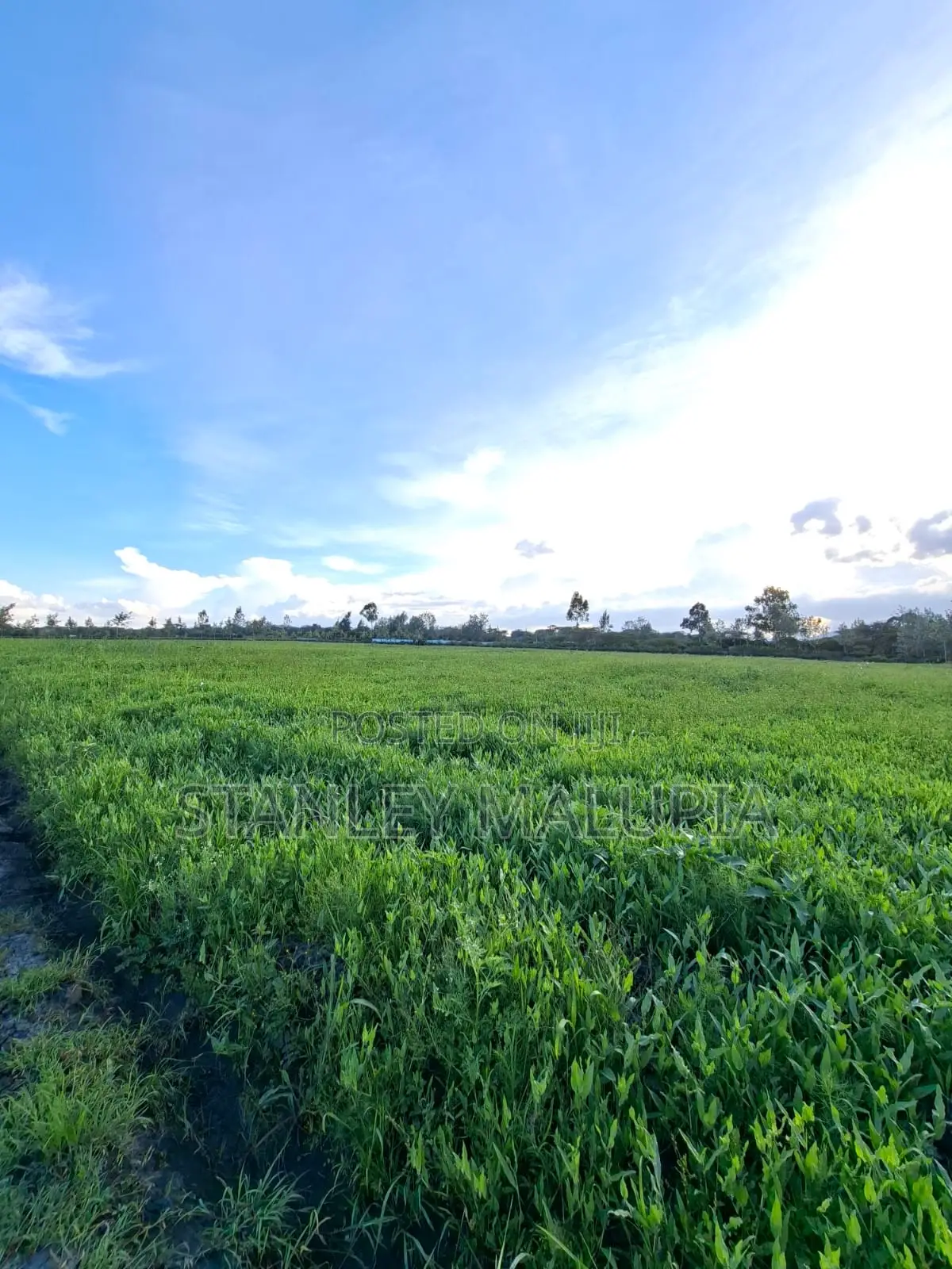 16 Acres for Sale – Kandisi, Ongata Rongai Per Acre 20m