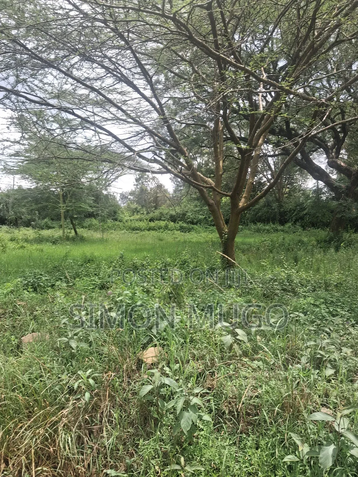 Garden Estate Prime Residential 1/2acre. Title Quick Sale 35 Millions