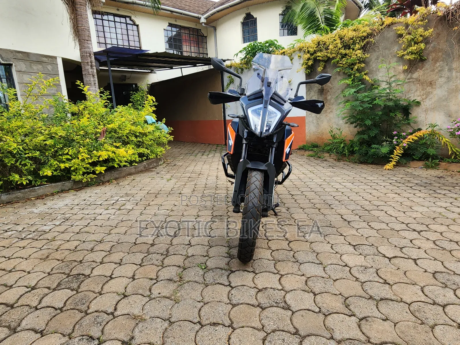 KTM 2023 Orange