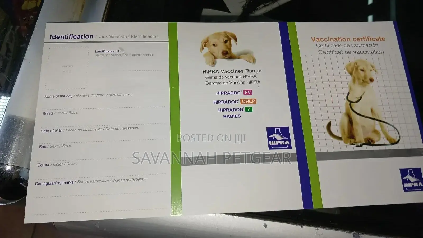Dog Cat Identification and Vaccination Certificate Template Card