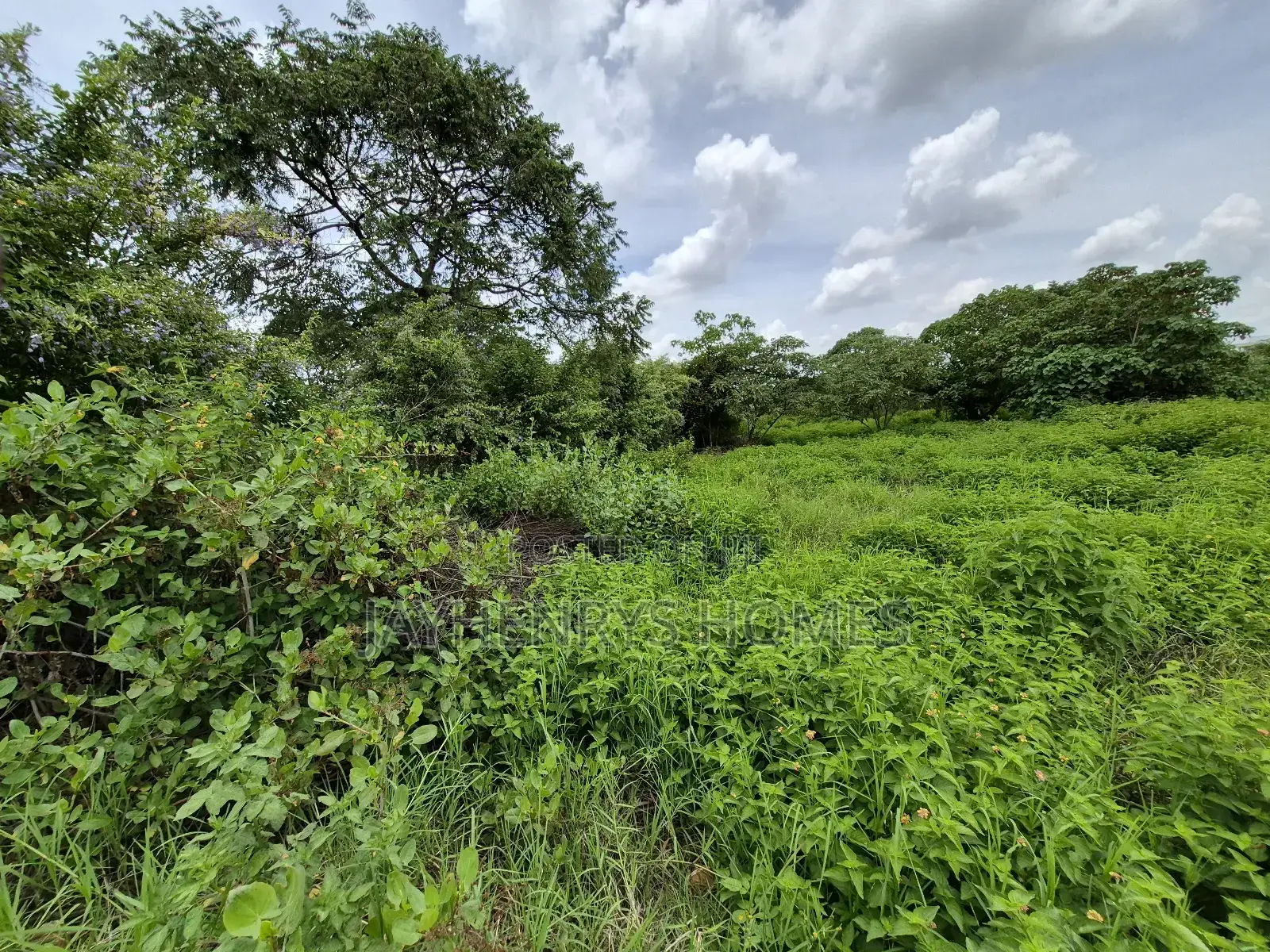 Half Acre Plot for Sale in Kijani Ridge,Tatu City at KSHS 45m