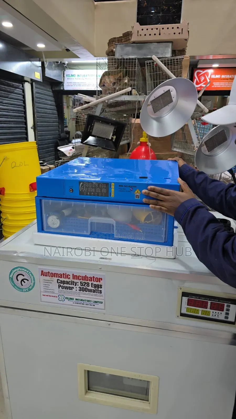 64 Eggs Automatic Egg Incubator