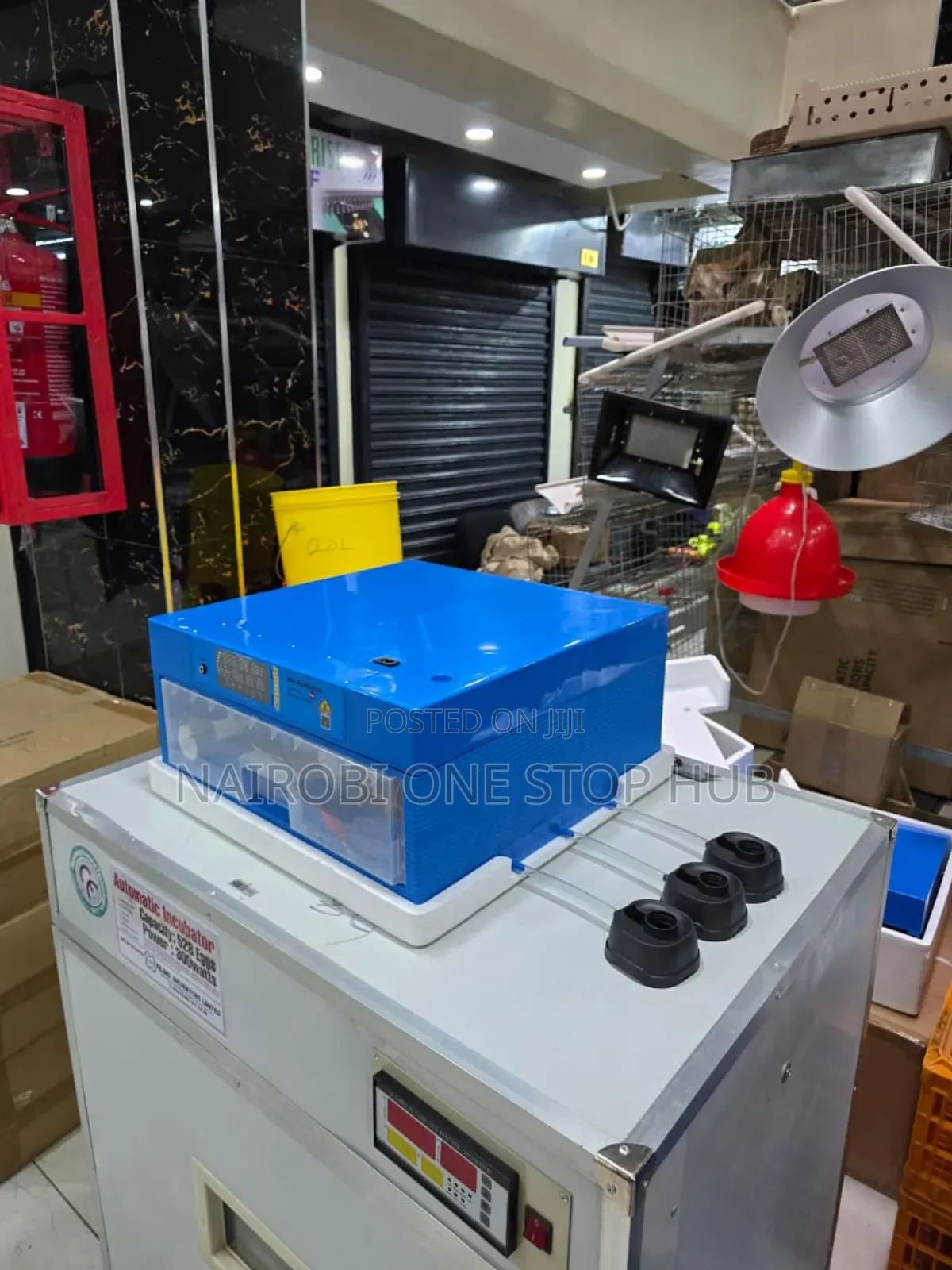 64 Eggs Automatic Egg Incubator