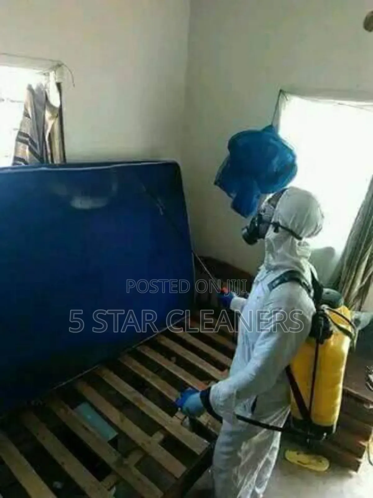 Professional Fumigation and Disinfectant
