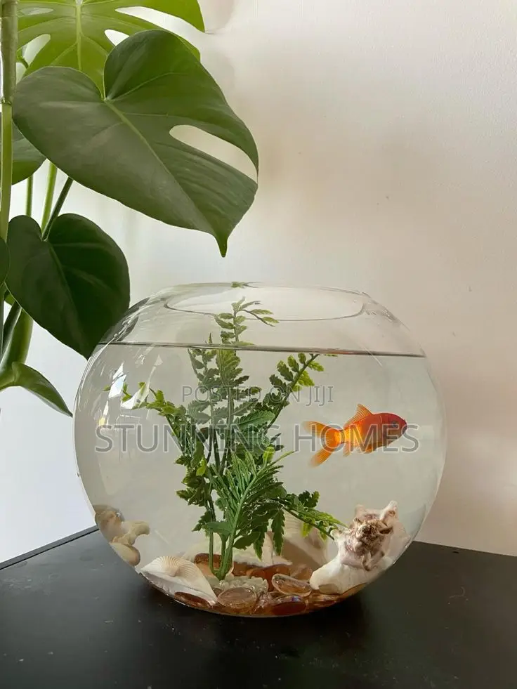 18ltrs Fish Bowl