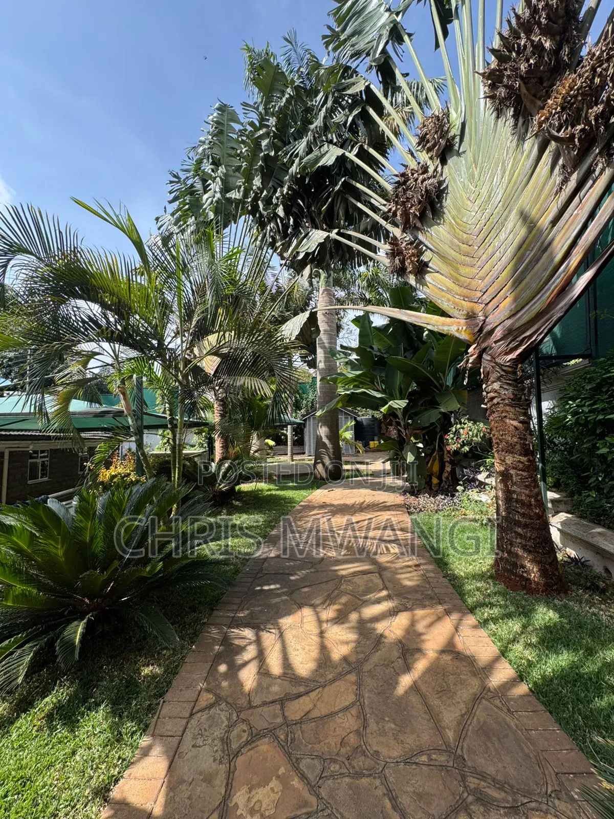 6bdrm Mansion in Runda Flame Tree for rent