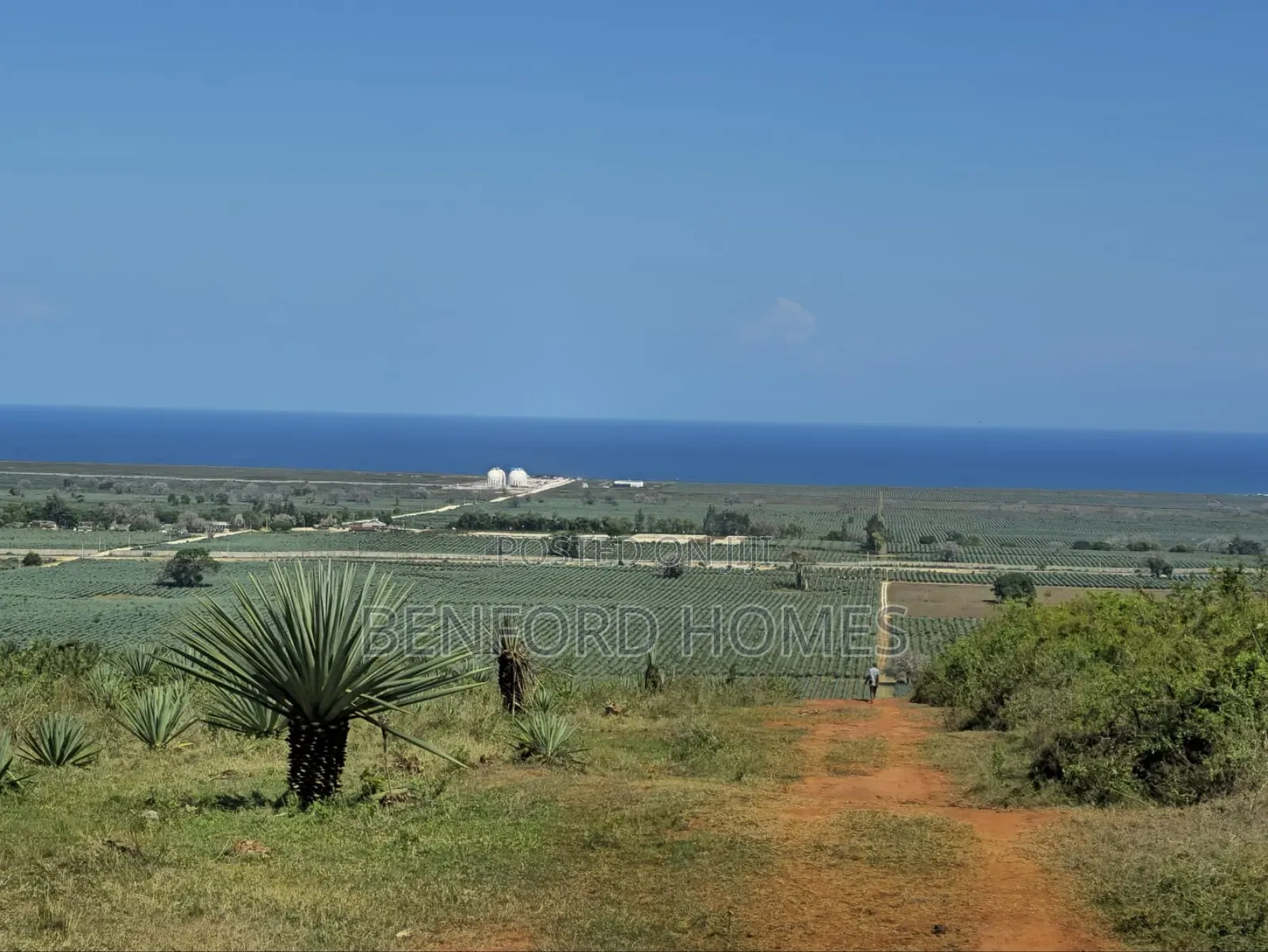 100 Acres on Sale Vipingo Area Ideal for Subdivisions