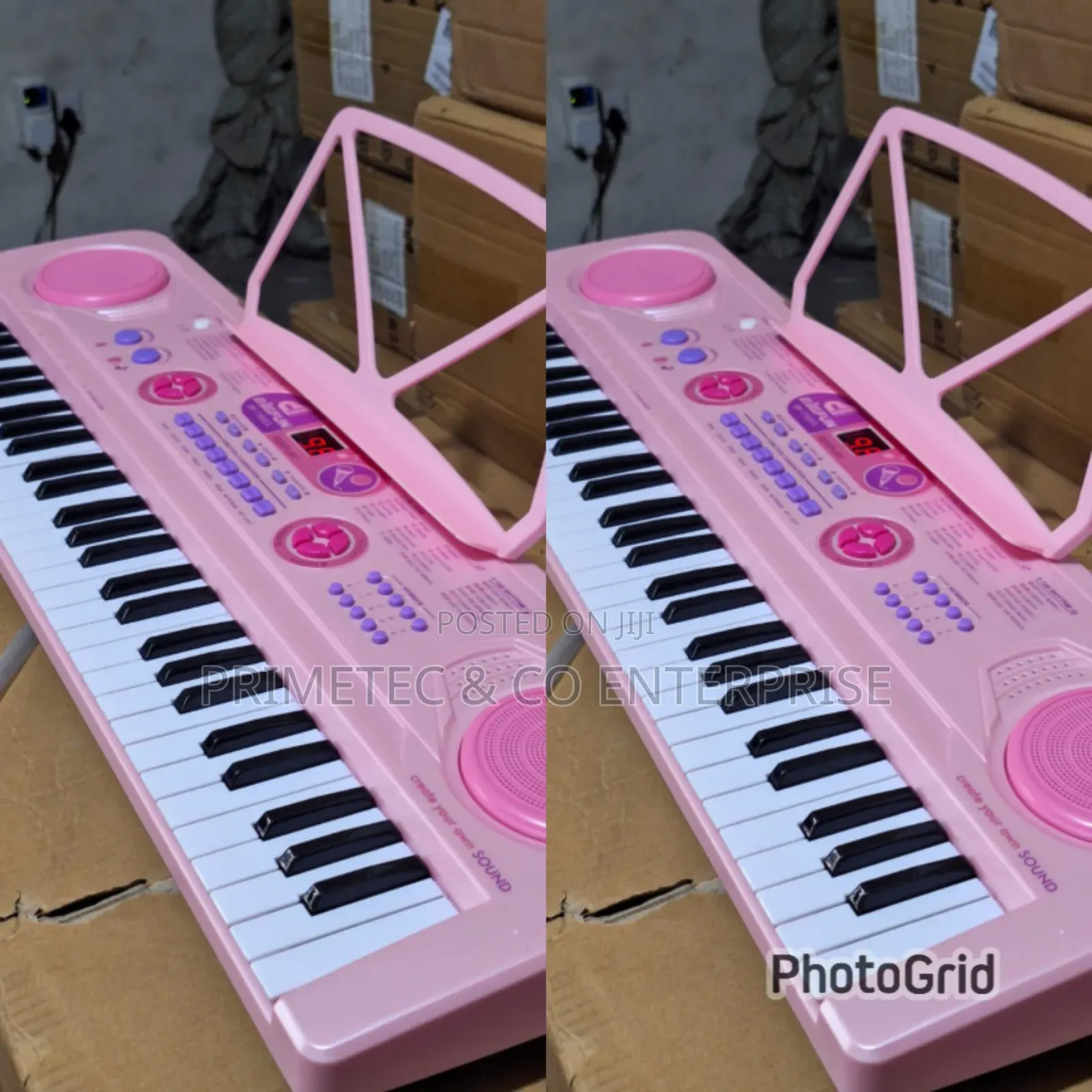 Professional Piano With In Built Battery