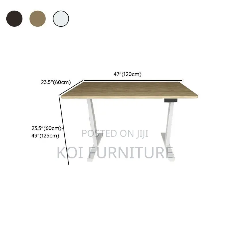 Office Desk; 1200mm Electric Adjustable Ergonomic Flexxi Koi Desk